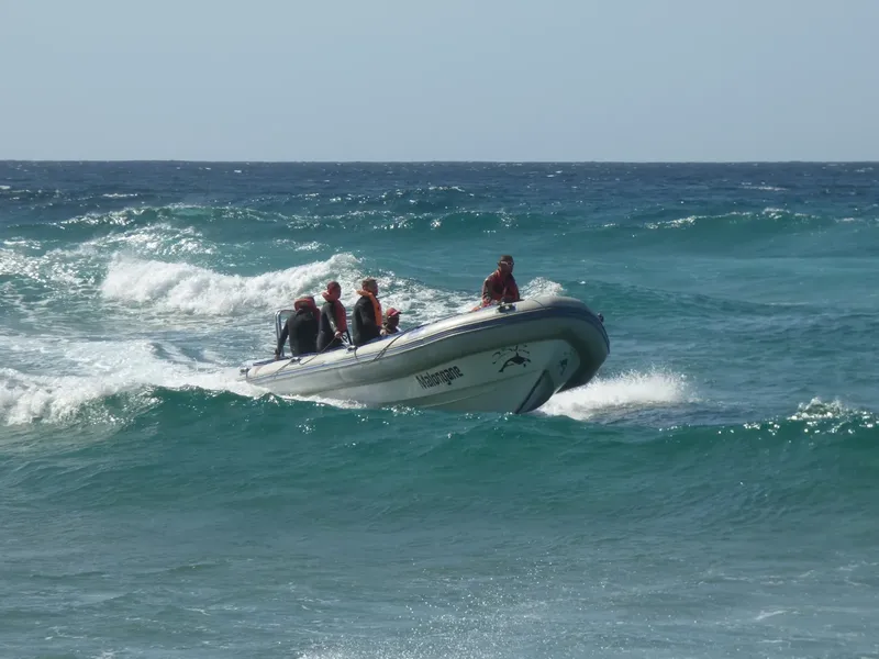 Un bateau semi-rigide navigue sur une mer agitée avec des passagers