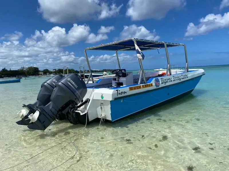 Bateau de plongée bleu et blanc échoué sur une plage tropicale