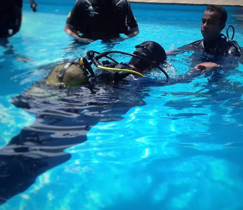 Plongeurs en formation dans une piscine, équipement complet visible
