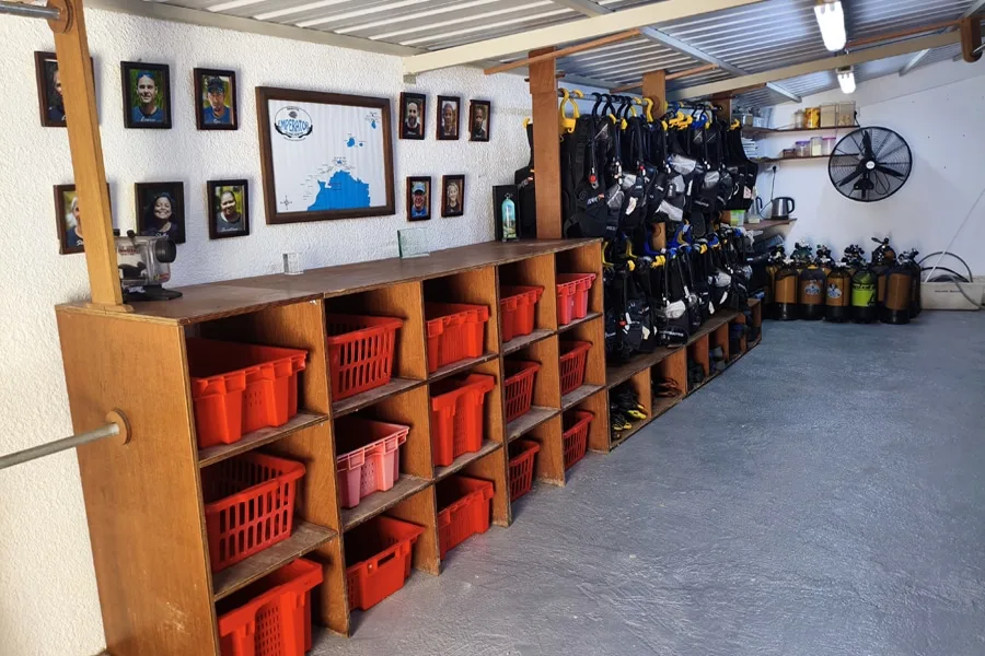 Rangement de matériel de plongée et photos encadrées dans un local