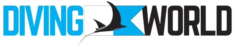 Logo avec le nom DIVING WORLD et une raie manta bleue