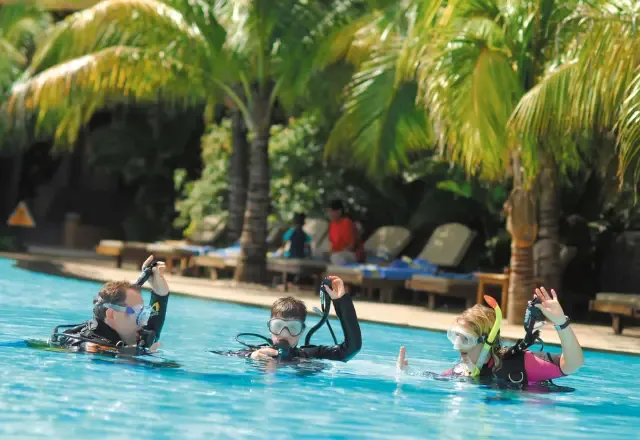 Trois plongeurs en formation dans une piscine ensoleillée avec palmiers