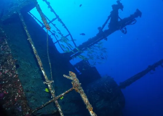 Epave sous-marine colonisée par la vie marine et des poissons
