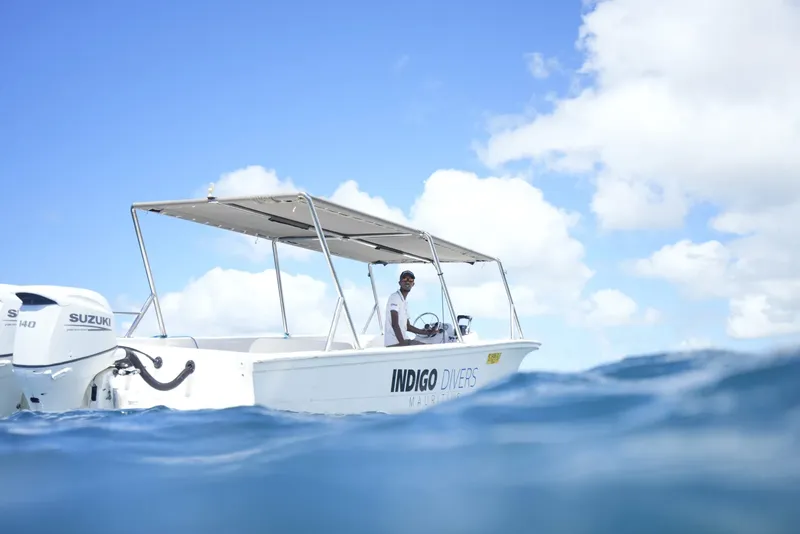 Bateau de plongée blanc avec un pilote, vue depuis la surface de l'eau