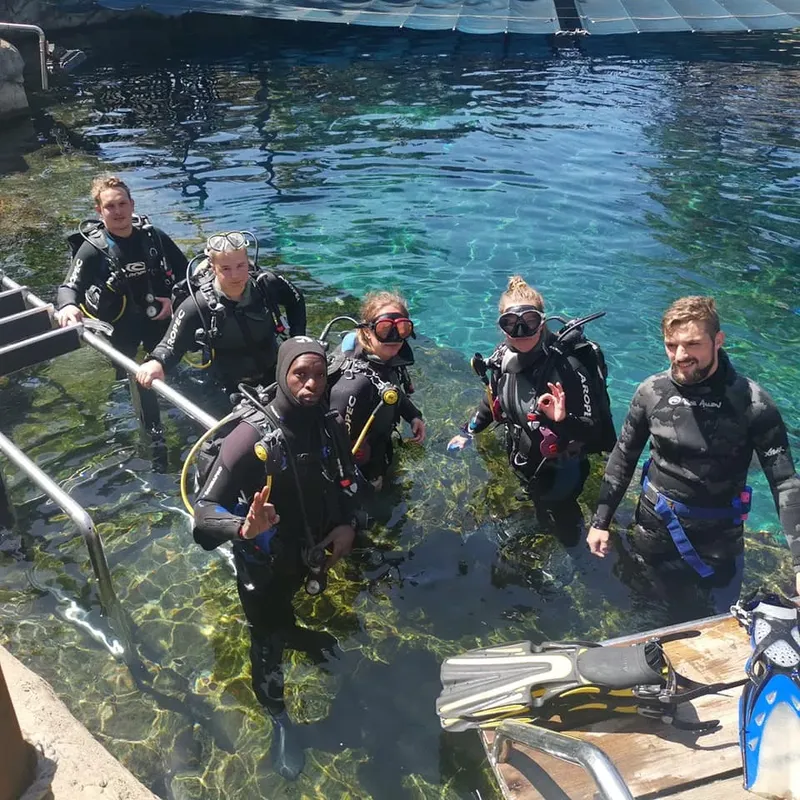 Groupe de plongeurs souriants sortant de l'eau avec leur équipement