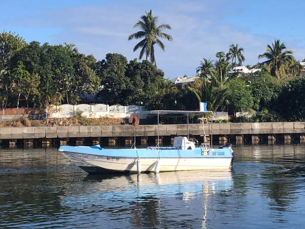 Bateau de plongée amarré à un quai avec végétation tropicale
