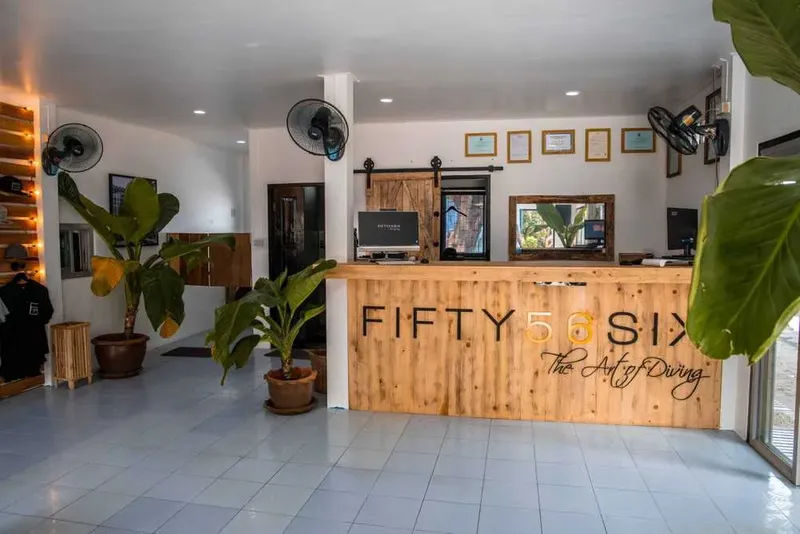 Intérieur lumineux d'un centre de plongée avec comptoir d'accueil et plantes