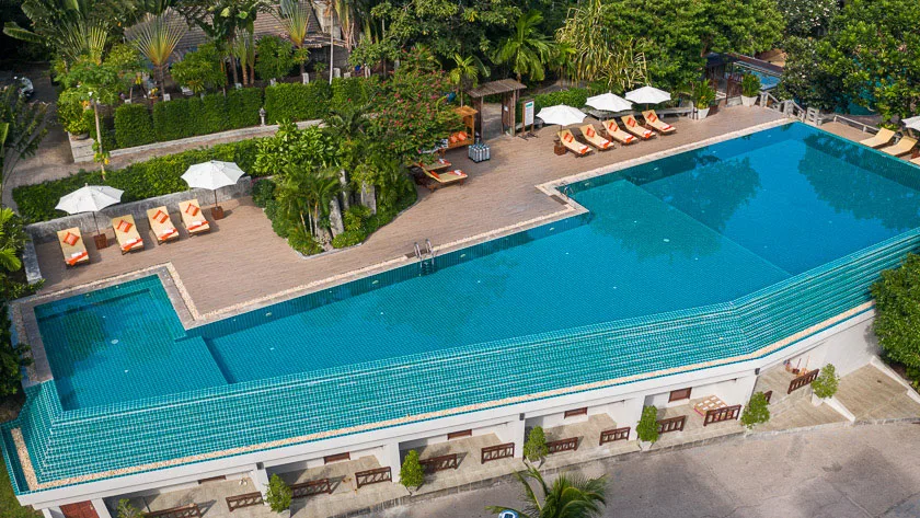 Piscine bleue avec transats et végétation luxuriante en arrière-plan
