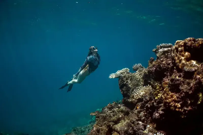 Apnée : une plongeuse explore un récifal corallien en bleu profond