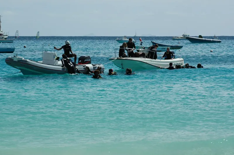Plongée : des personnes se préparent à entrer dans l'eau depuis un bateau