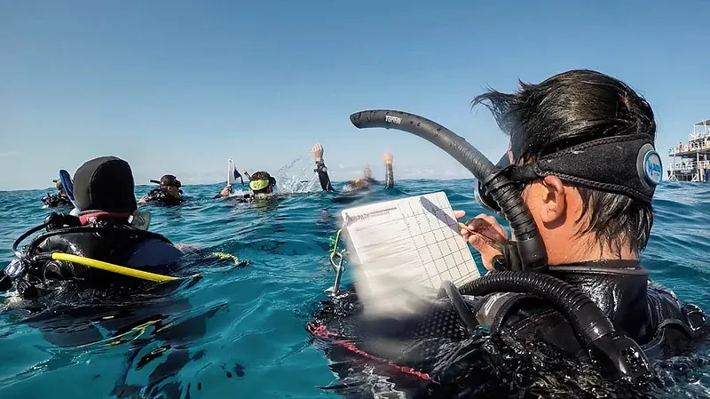 Plongeurs en surface, un instructeur prend des notes, ciel bleu