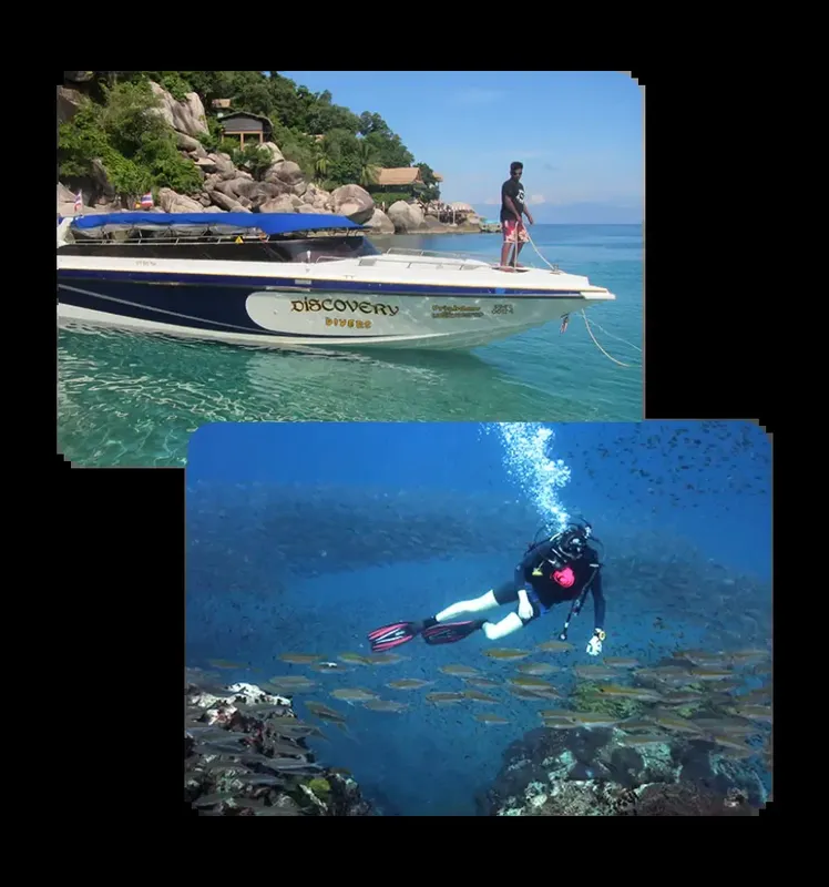 Plongeur explore un récifal corallien avec des poissons tropicaux
