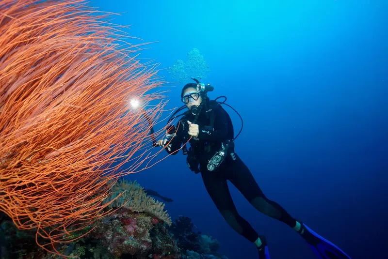 Plongeuse avec équipement complet près d'un corail orange en mer