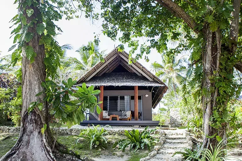 Petite maison de style tropical entourée de végétation luxuriante et de palmiers