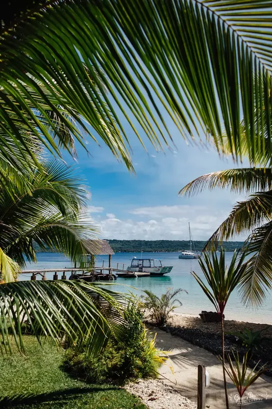 Vue sur la mer avec ponton, bateaux et végétation tropicale luxuriante