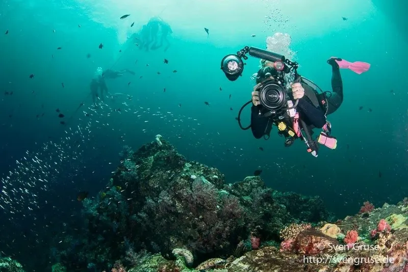 Plongeur avec appareil photo sous-marin, banc de poissons et récif corallien