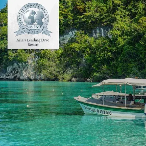 Bateau de plongée amarré dans une baie turquoise, récompense tourisme
