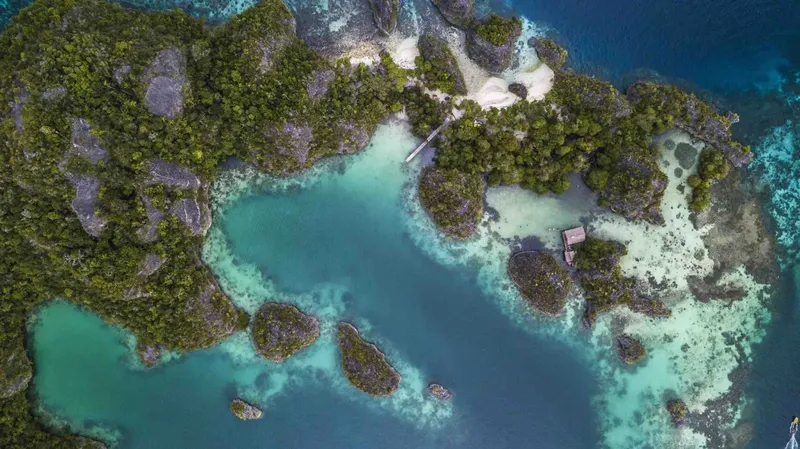 Vue aérienne d'une île tropicale avec une eau turquoise et végétation