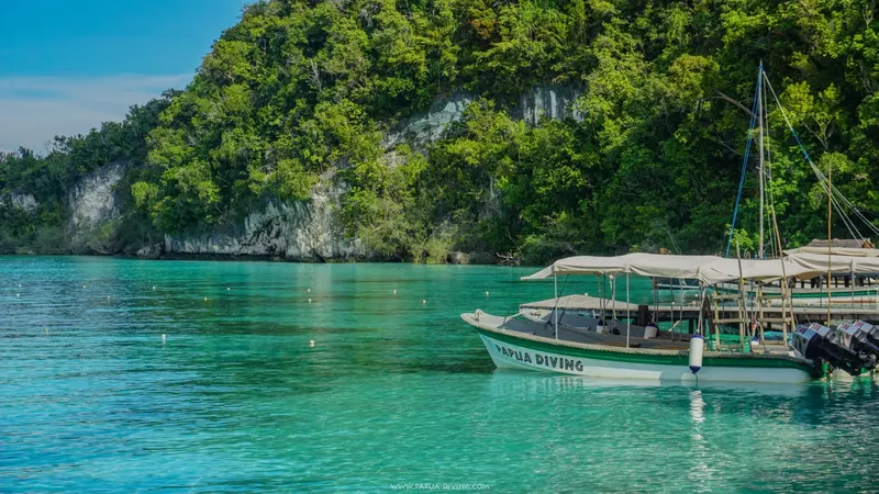 Bateau de plongée amarré dans une eau turquoise face à une végétation dense