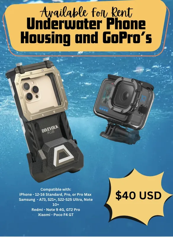 Boitiers étanches pour téléphones et GoPro disponibles à la location