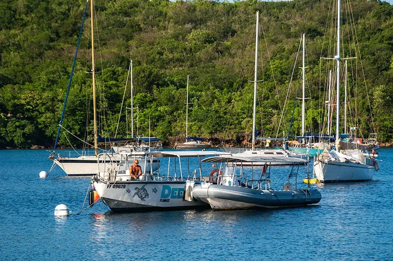 Plusieurs bateaux amarrés dans une baie ensoleillée avec une personne à bord
