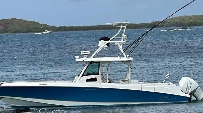 Bateau de plongée blanc et bleu sur une mer calme