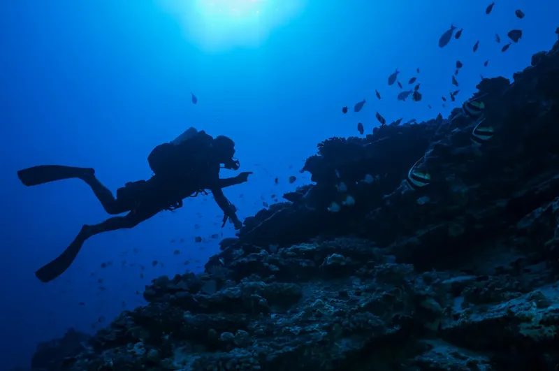 Plongeur explorant un récif corallien bleu et lumineux sous la surface