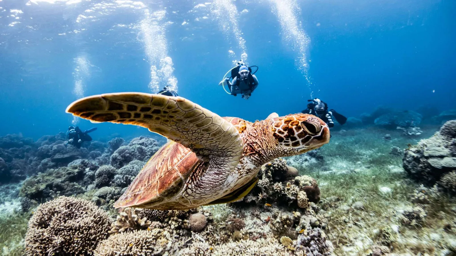 Splash Diving Center