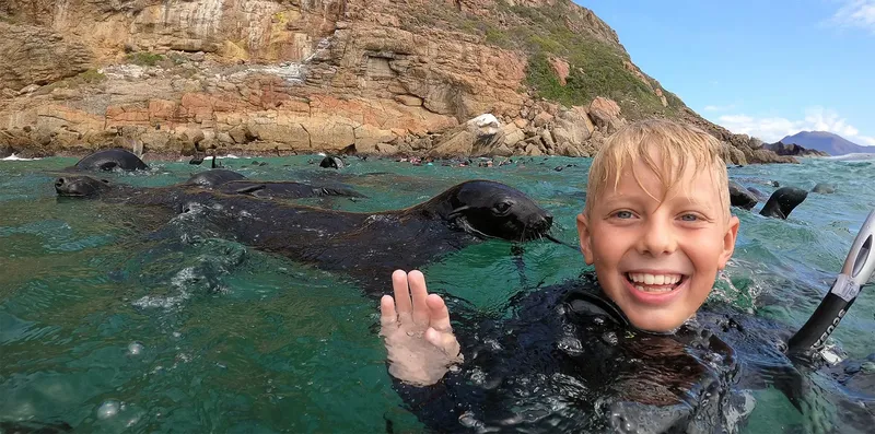 Un plongeur souriant interagit avec des otaries dans l'eau