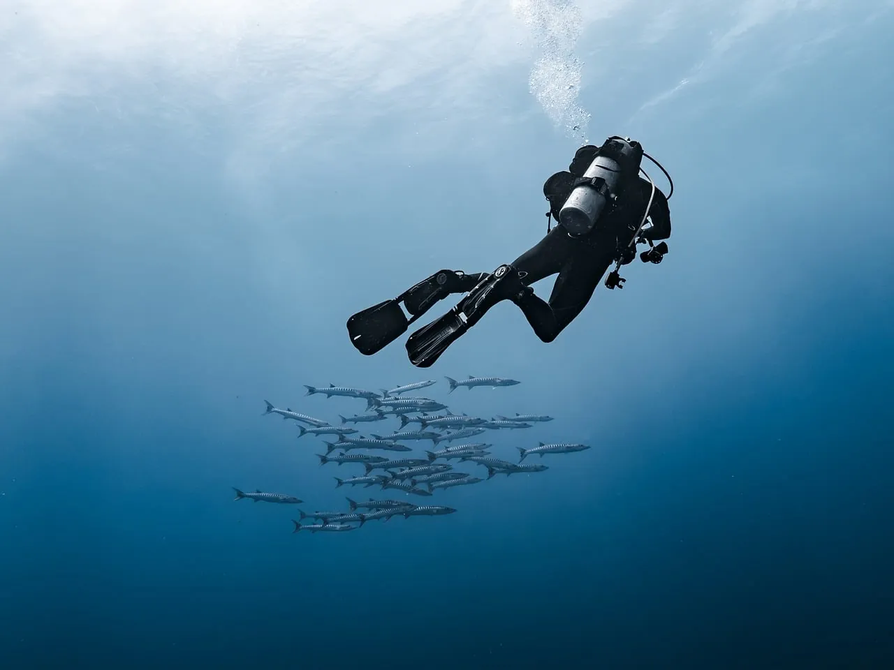 Dive Base Academy