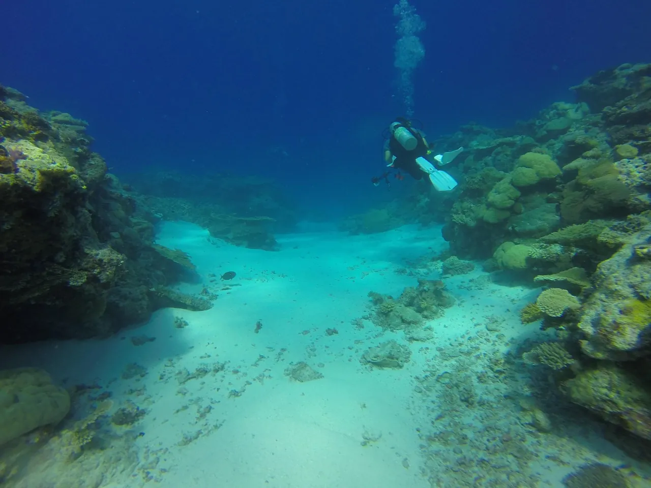 Nudidive Thailand – Club & Centre de Plongée à Phuket