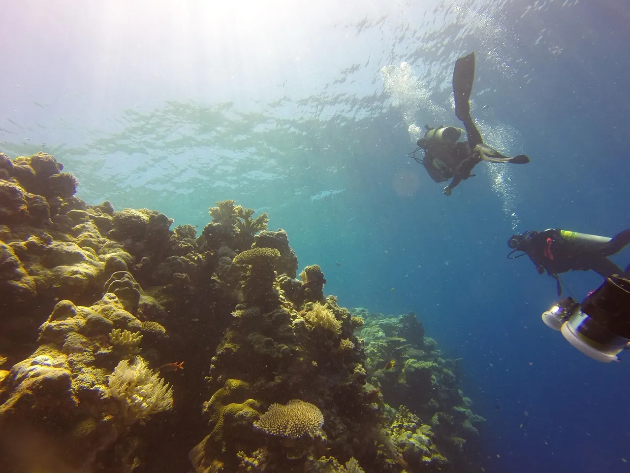 Turtle Caye - Brendal's Dive Center