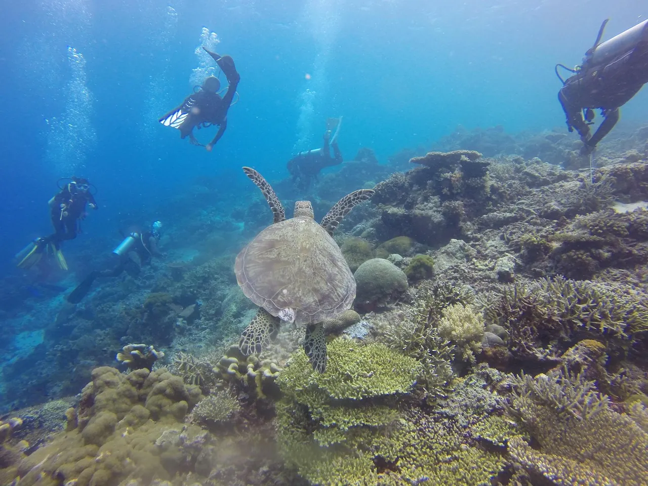 Aonang Scuba Center