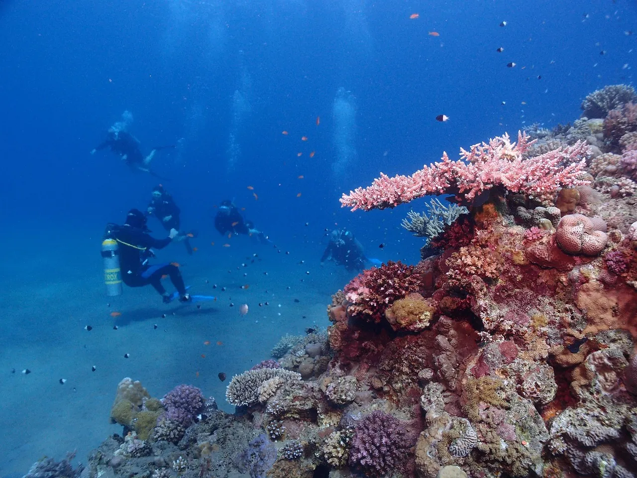 Mystic divers