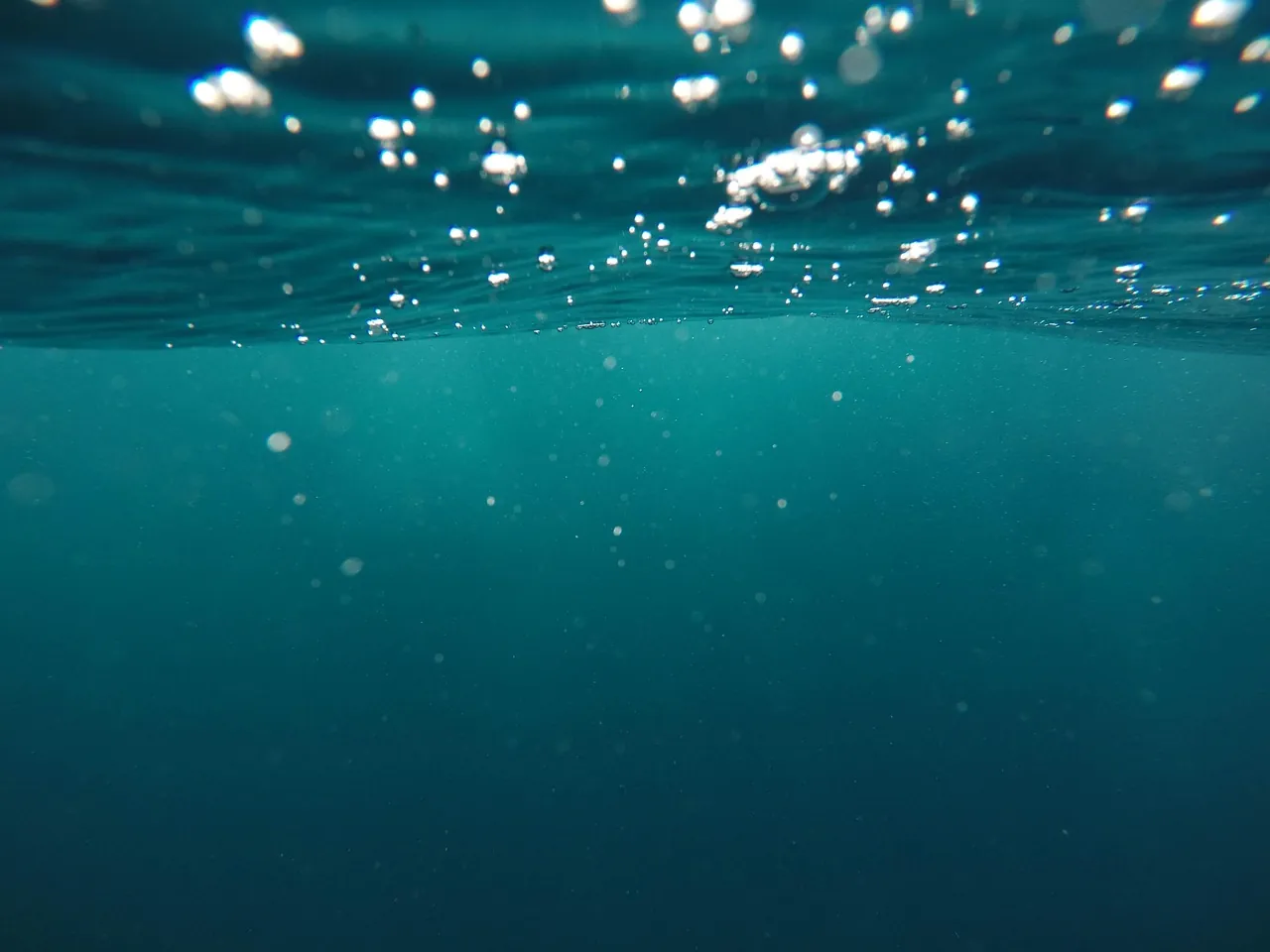 Keppel Dive