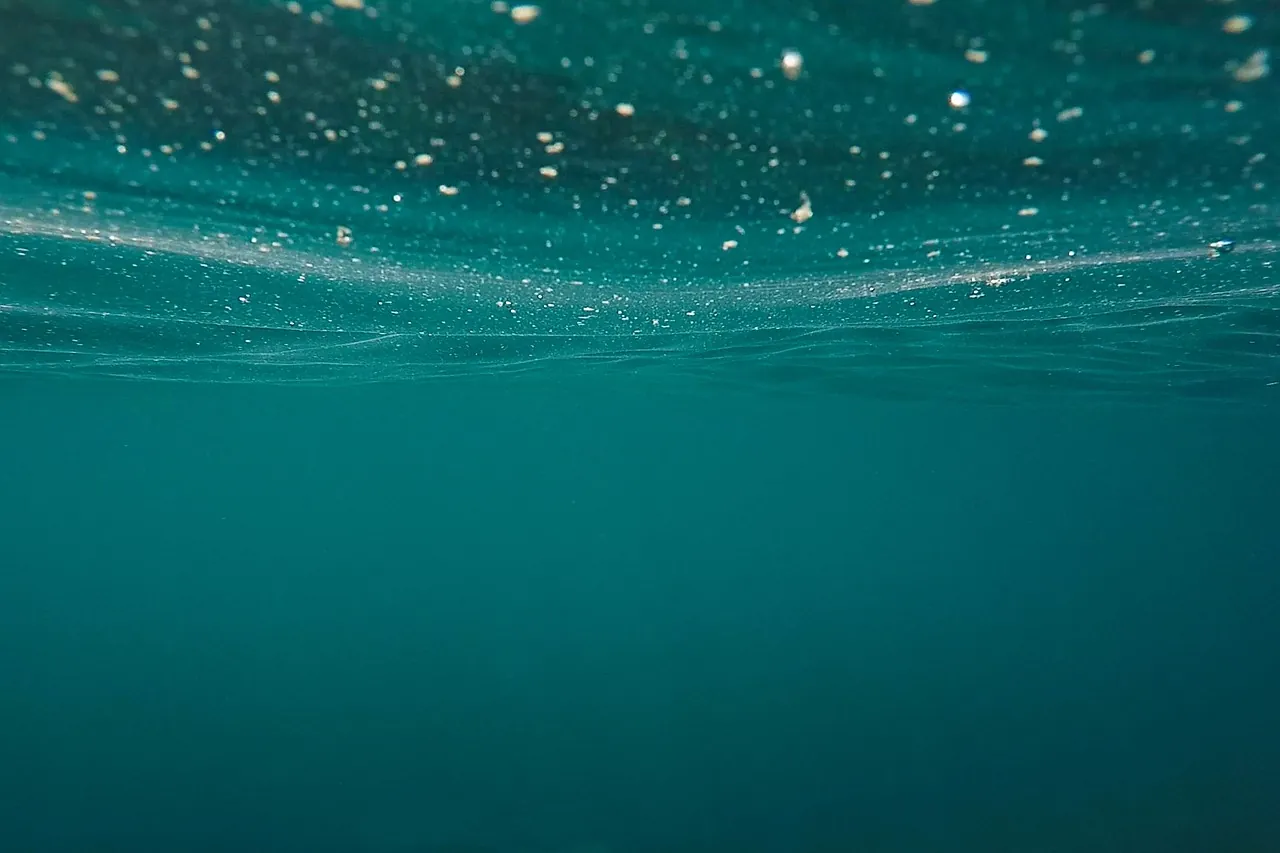 Sandy Beach Dive Academy