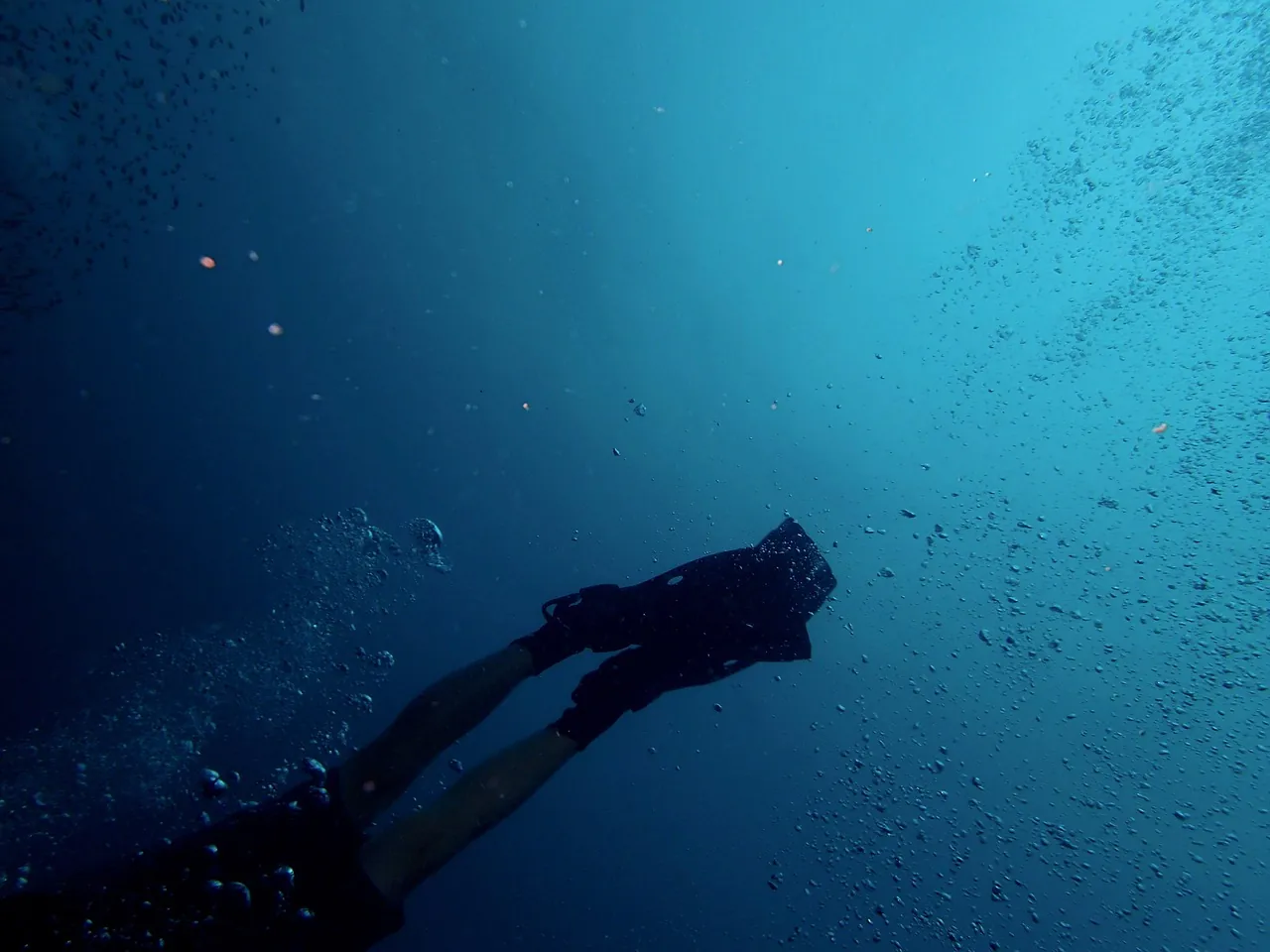 Nextdives
