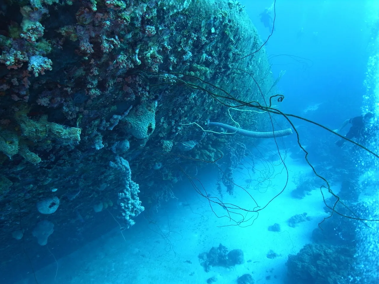 Third Dimension Diving