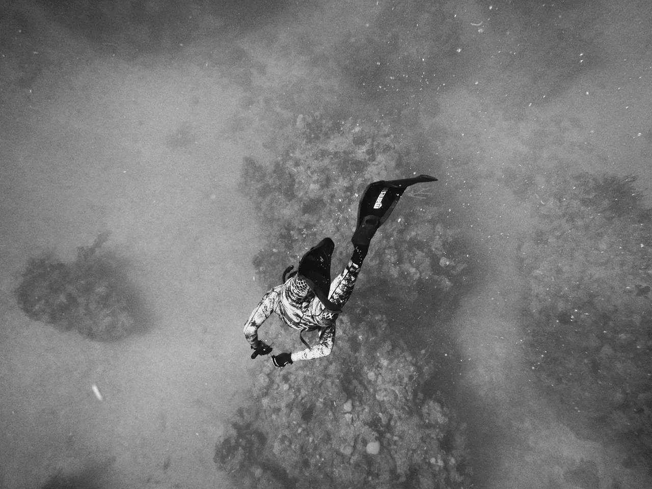 Chill Out Divers