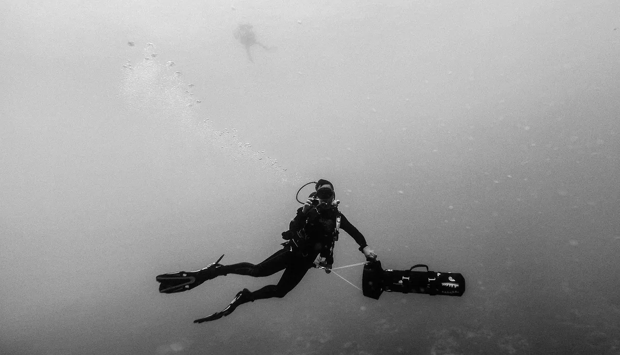 Deep Fin