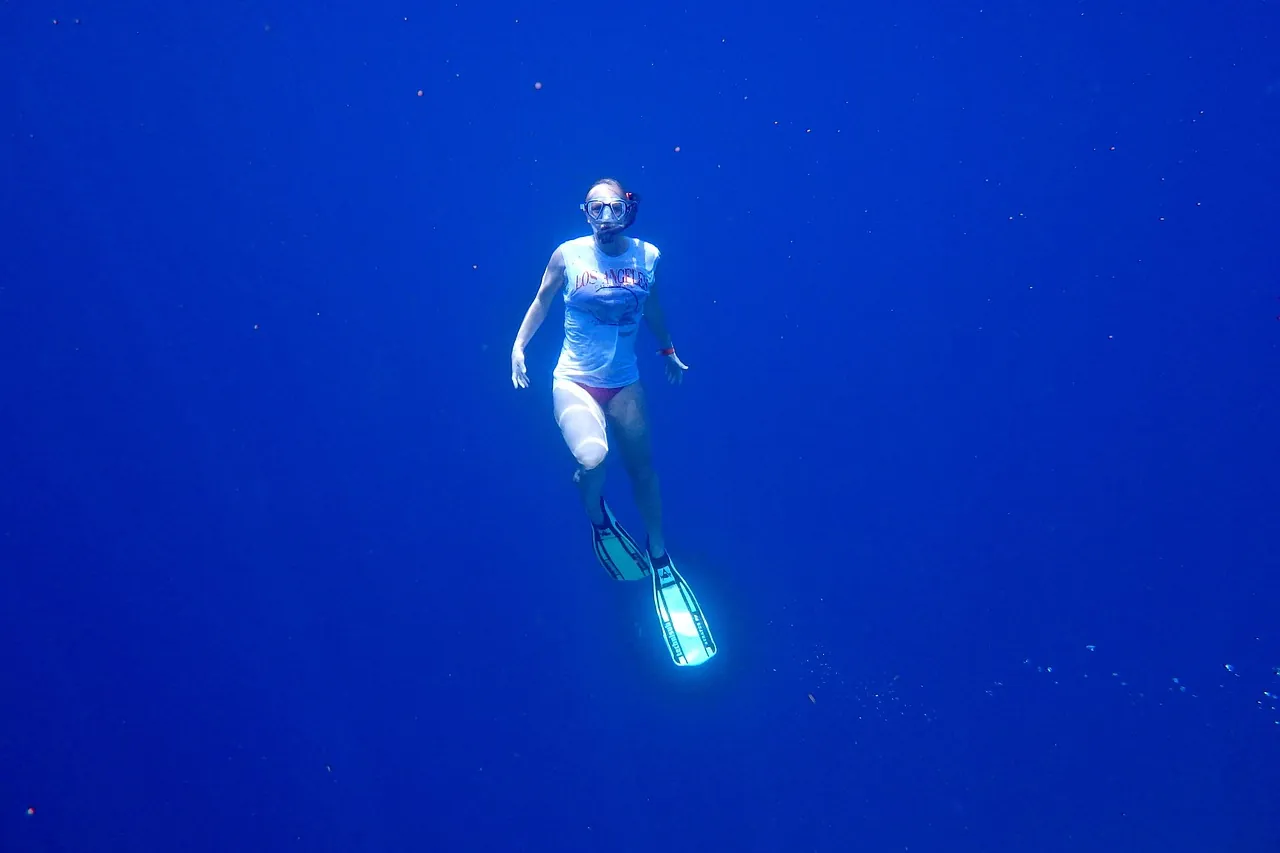 TD Diving