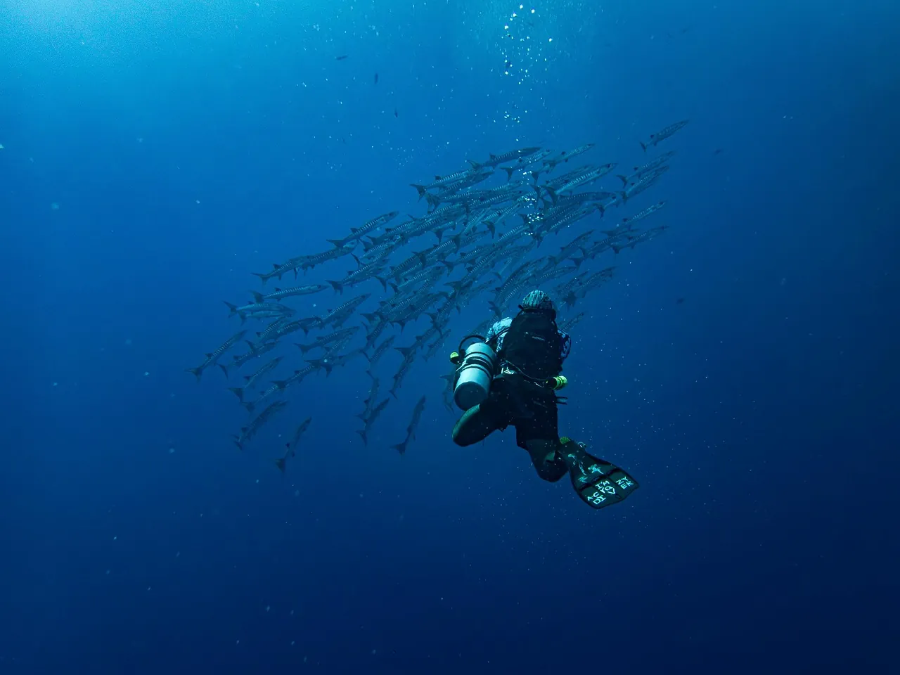 Andilana Beach Diving Center - VOI Andilana Beach Resort