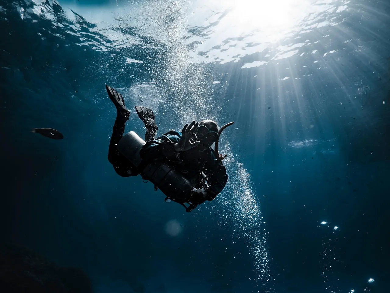 Easydivers Portugal