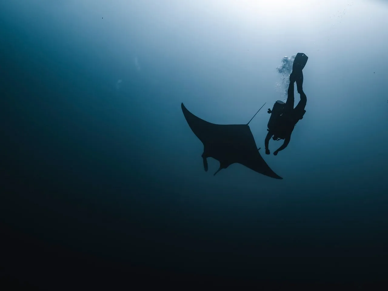 Arkipelago Divers & Beach Resort