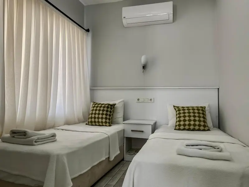 Une chambre avec deux lits simples et des oreillers décorés.