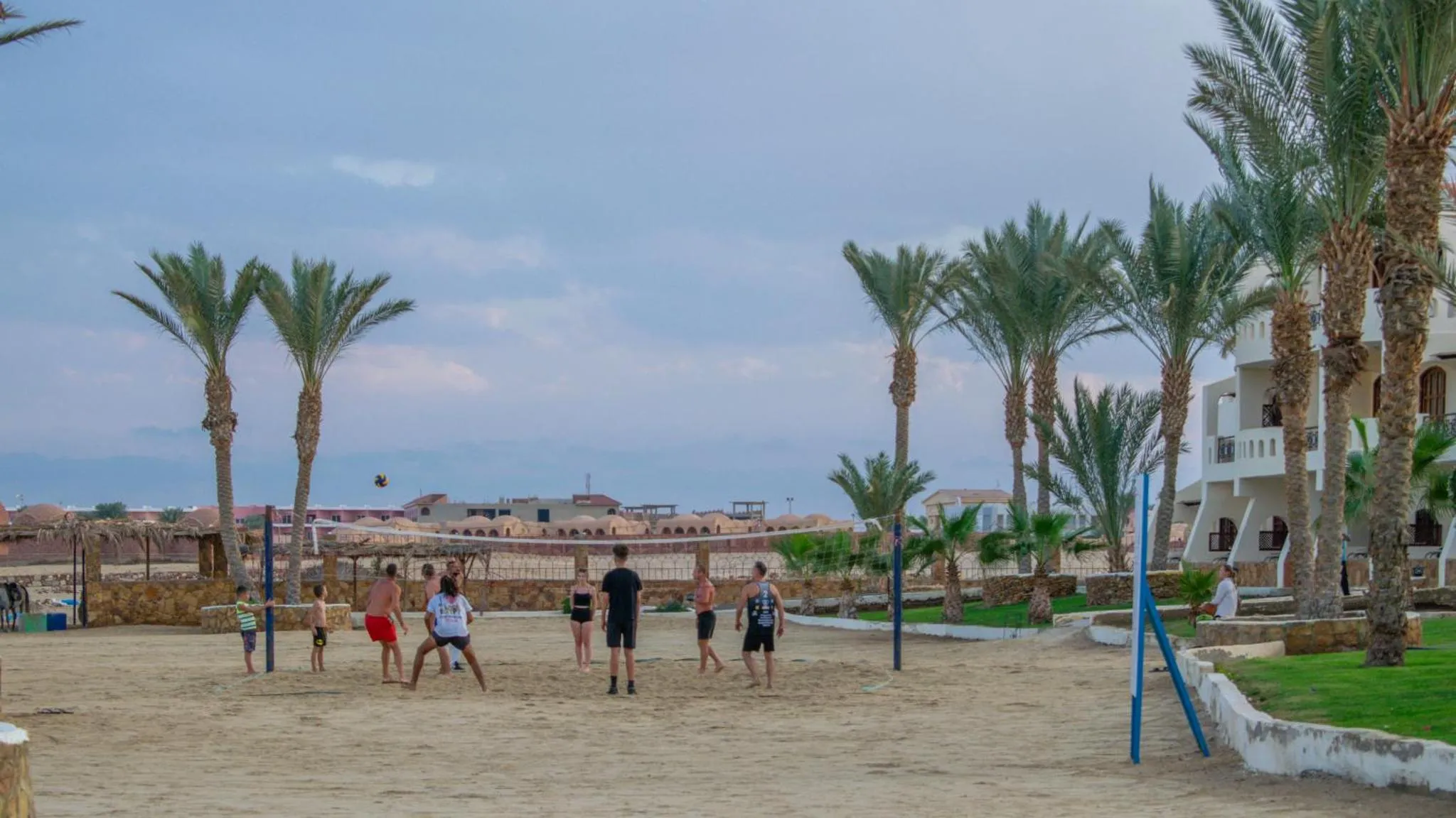 Des personnes jouent au volleyball sur une plage de sable fin bordée de palmiers.
