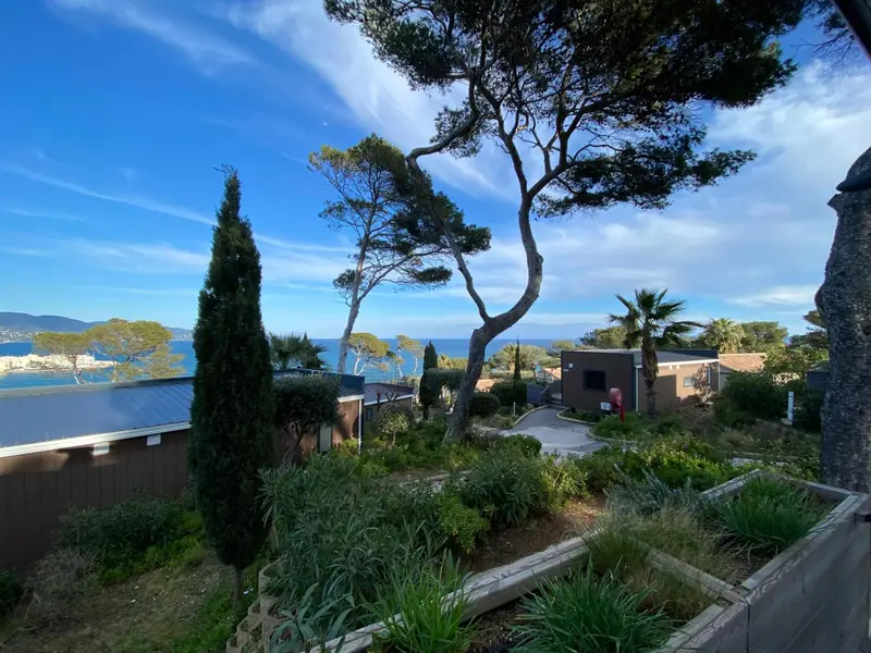 Jardin verdoyant avec des arbres et une vue sur la mer.