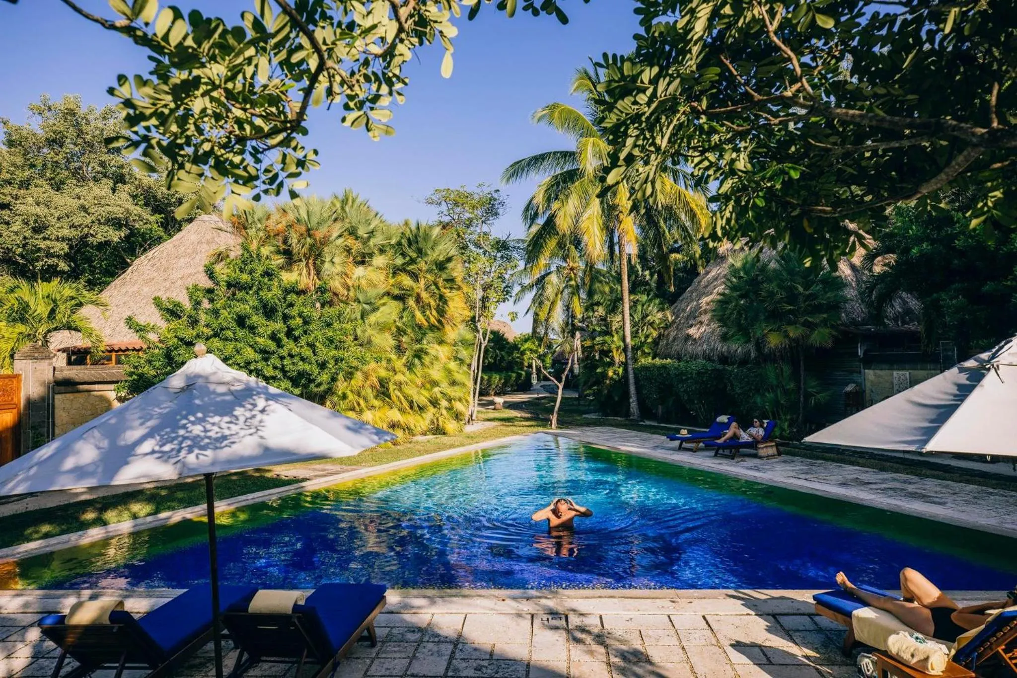 Une piscine rectangulaire bordée de transats et d'ombrelles sous des palmiers.