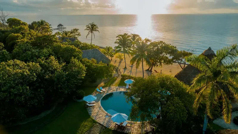 Vue aérienne d'une plage bordée de palmiers et d'une piscine turquoise.