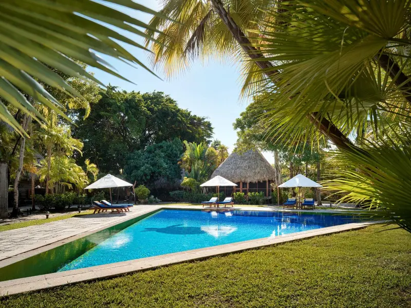 Une piscine rectangulaire bordée de chaises longues dans un jardin tropical.